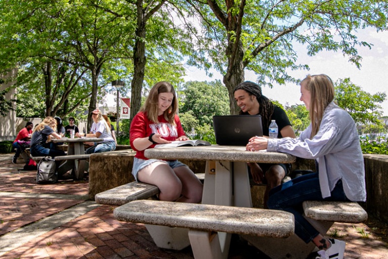 Students studying outdoor.