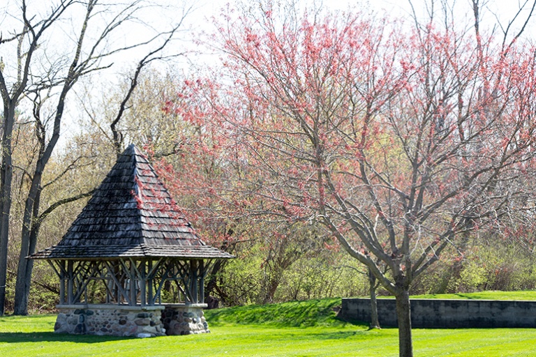 Trees by well house