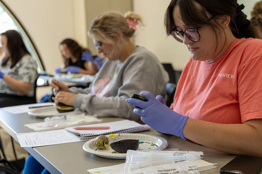 Several women sit at desks and practice wound care on avocado halves.