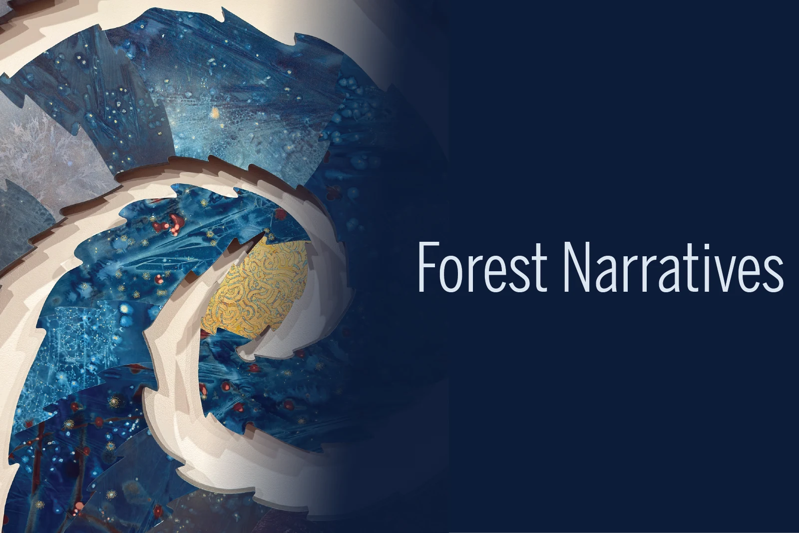 Forest Narratives exhibition.
