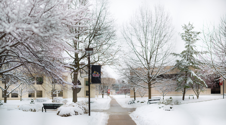 A photo of campus in the winter with snow on the trees