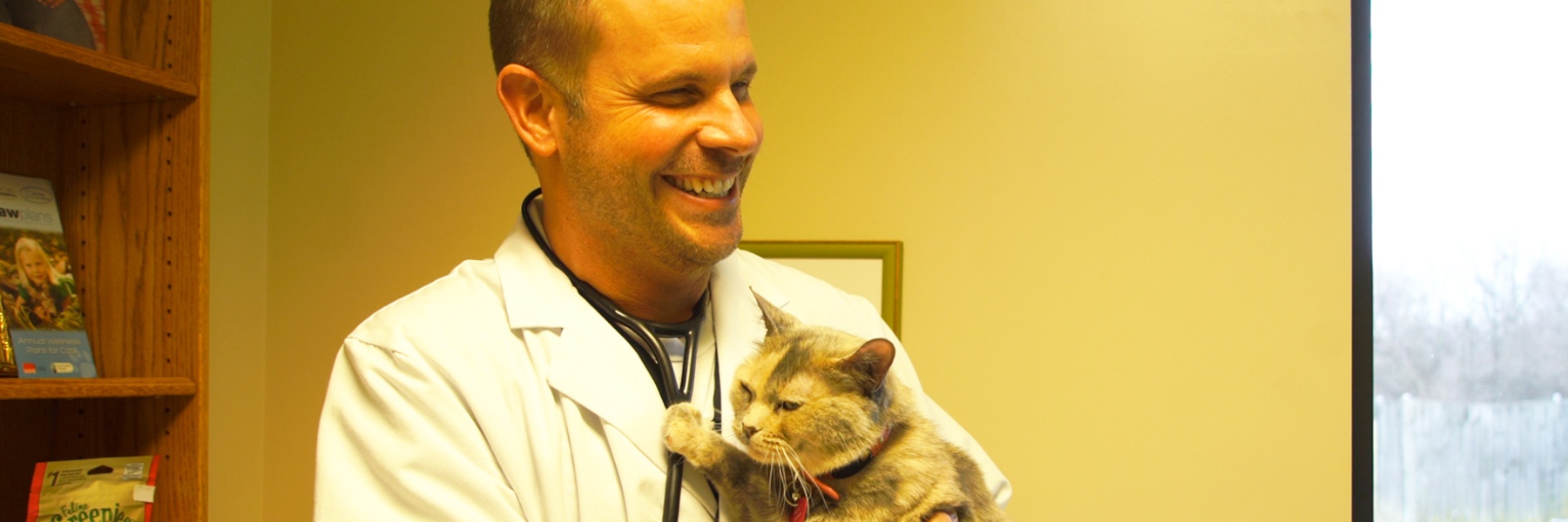 PreVeterinary Medicine How Do You a Vet? Indiana University